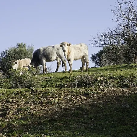 Gospodarstwo agroturystyczne Agriturismo Porta Al Colle