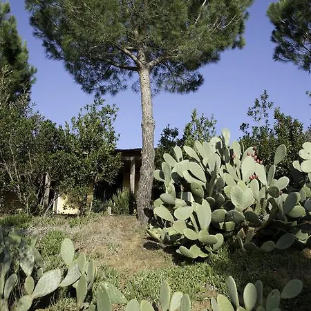 Agriturismo Porta Al Colle Gospodarstwo agroturystyczne Castiglione della Pescaia
