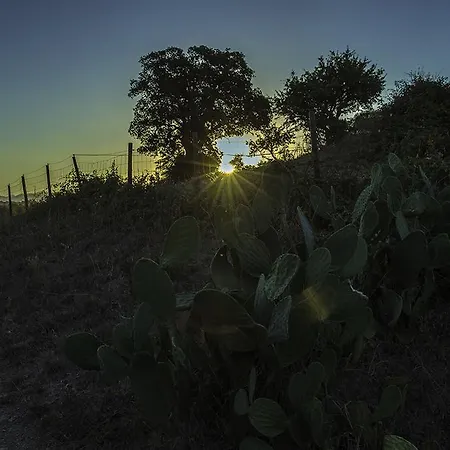 Gospodarstwo agroturystyczne Agriturismo Porta Al Colle