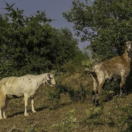 Agriturismo Porta Al Colle Gospodarstwo agroturystyczne *