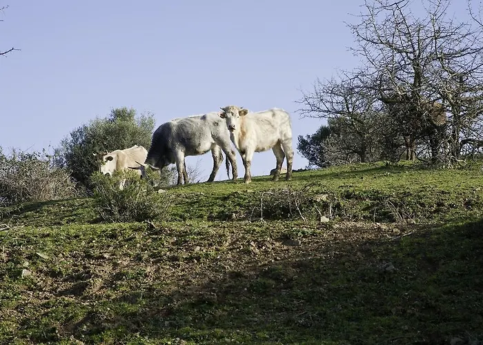 בית חווה Agriturismo Porta Al Colle