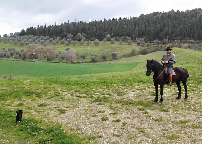 Agriturismo Porta Al Colle * קסטליונה דלה פסקאיה