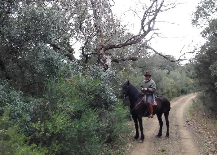 Agriturismo Porta Al Colle * קסטליונה דלה פסקאיה