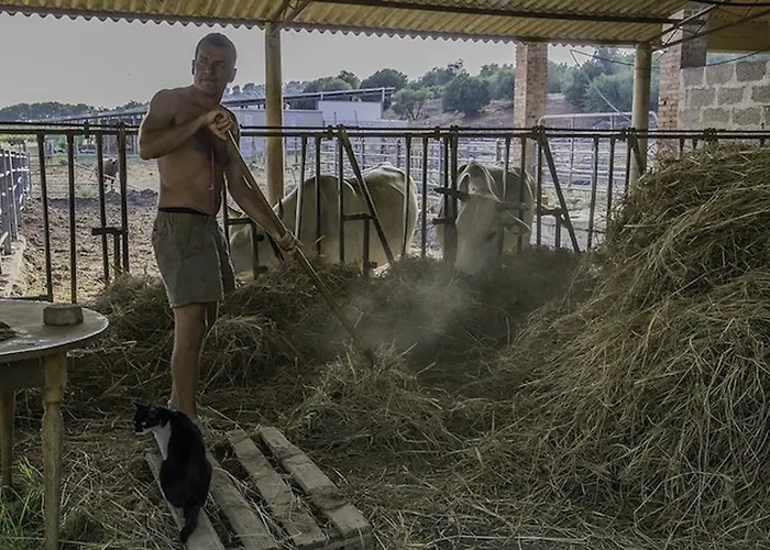 Agriturismo Porta Al Colle *