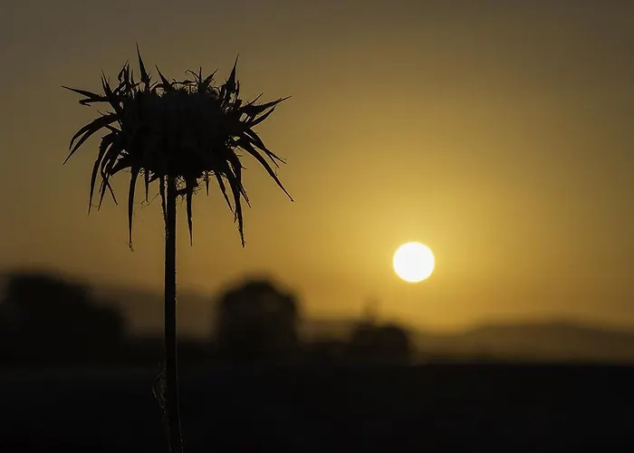 בית חווה Agriturismo Porta Al Colle